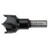 Graphite Burghiu Forstner 25 mm