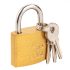 Top Tools Lock 40 mm alama cu 2 chei