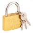 Top Tools Lock 50 mm alama cu 2 chei