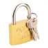 Top Tools Lock 60 mm alama cu 2 chei