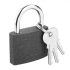 Top Tools Lock 50 mm vopsit cu 2 chei