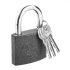 Top Tools Lock 60 mm vopsit cu 2 chei