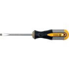Vorel Surubelnita plata 6x100 mm
